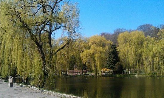 Wycieczki rowerowe po Gdańsku